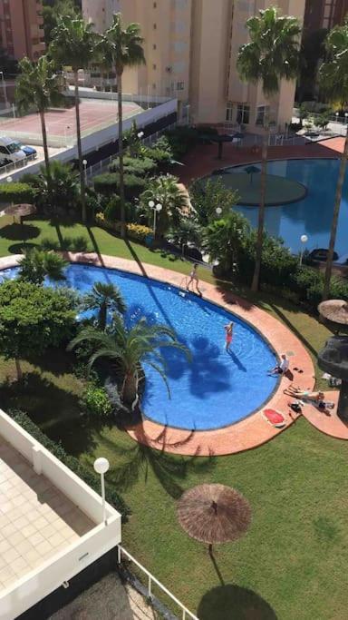 Penthouse At Rincon! Wifi, Parking And Pets Free Apartment *