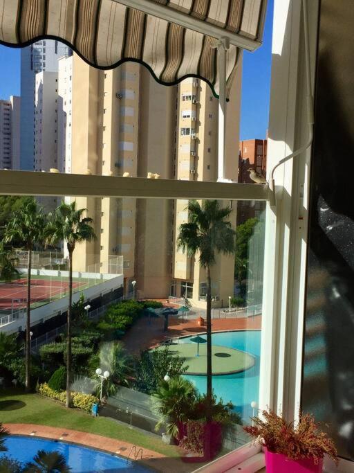 Apartment Penthouse At Rincon! Wifi, Parking And Pets Free *