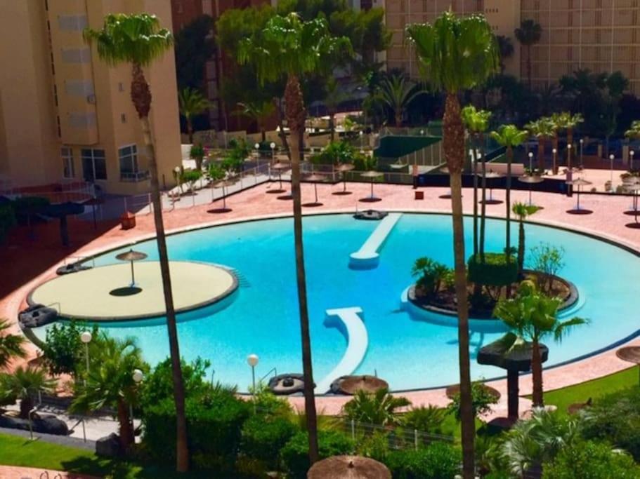 Penthouse At Rincon! Wifi, Parking And Pets Free