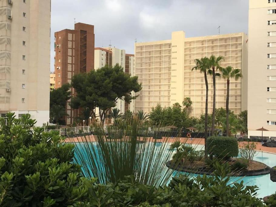 Apartment Penthouse At Rincon! Wifi, Parking And Pets Free *