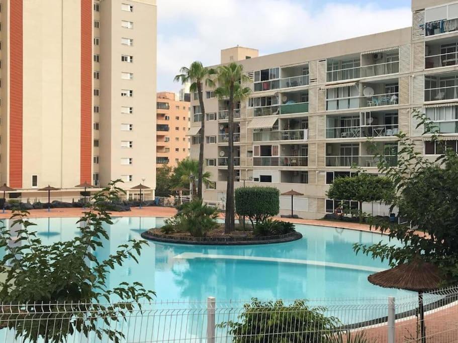 Penthouse At Rincon! Wifi, Parking And Pets Free *